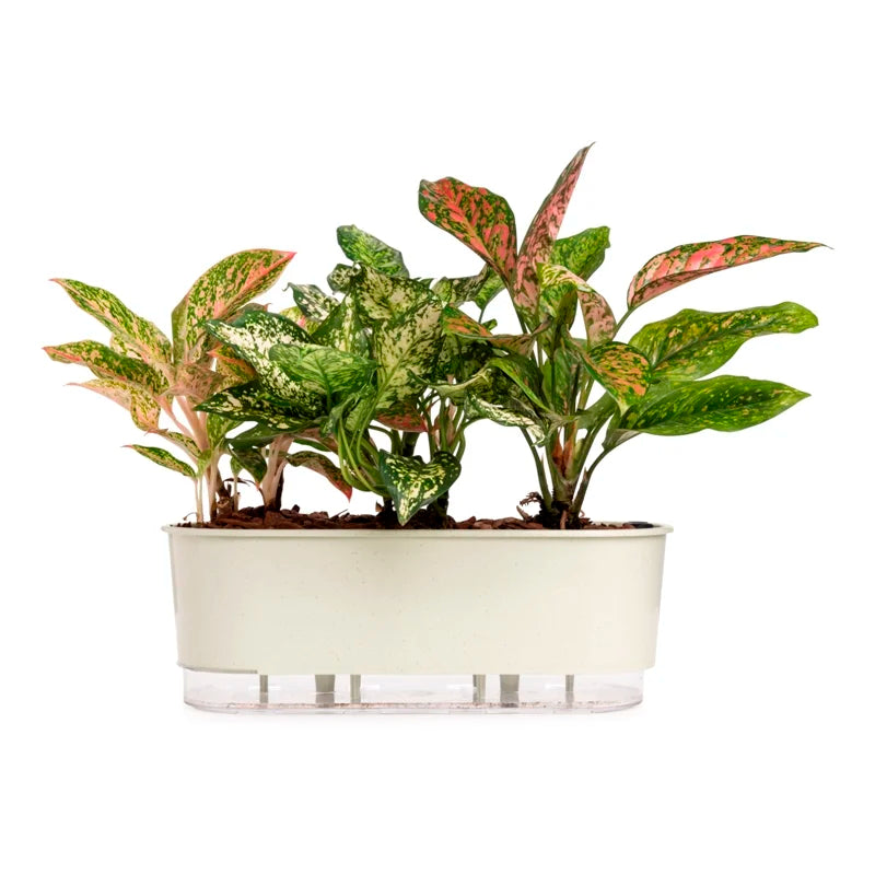 Jardineira Autoirrigável 40cm x 16cm - Terrazzo Calcário