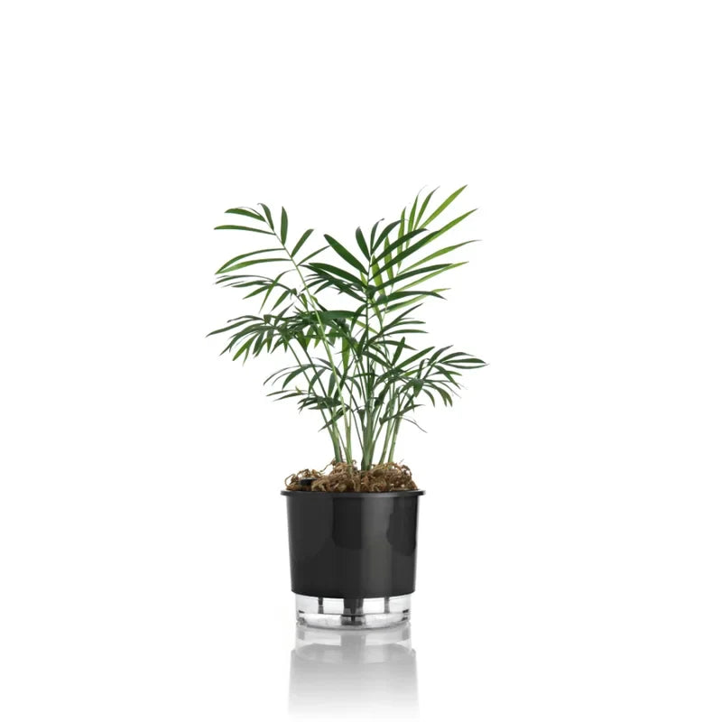 Vaso Autoirrigável Pequeno N02 12,6cm x 11,4 - Cores Clássicas Preto