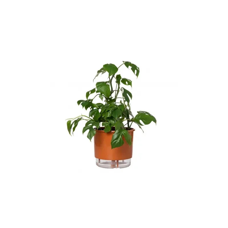 Vaso Autoirrigável Grande N04 21cm x 19cm - Terrazzo Terracota