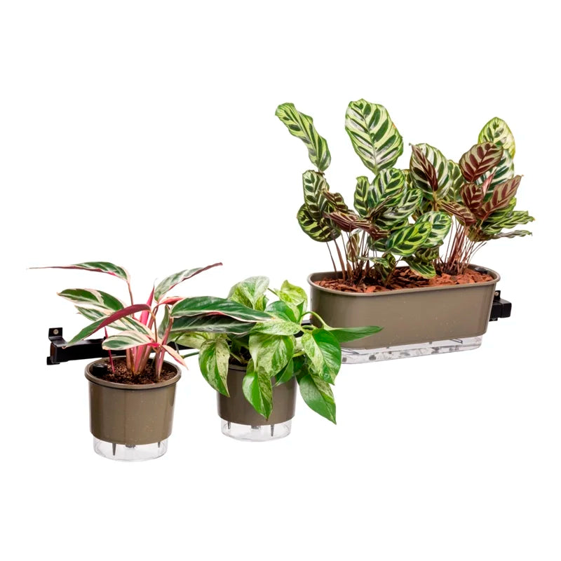 Barra Multiuso Preto - 100cm