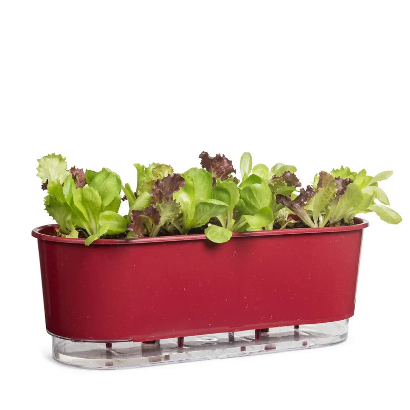 Jardineira Autoirrigável 40cm x 16cm - Terrazzo Geleia de Framboesa