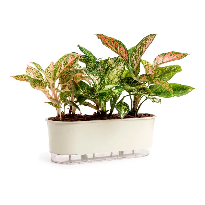 Jardineira Autoirrigável 40cm x 16cm - Terrazzo Calcário